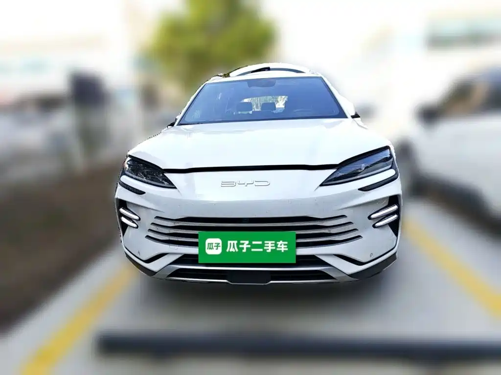 BYD PLUS New Energy — фото 23