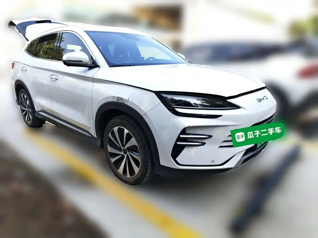 BYD PLUS New Energy — фото 24