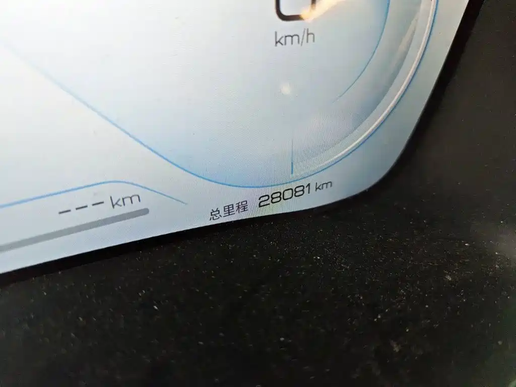 BYD PLUS New Energy — фото 4