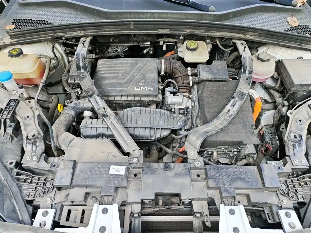 BYD PLUS New Energy — фото 10