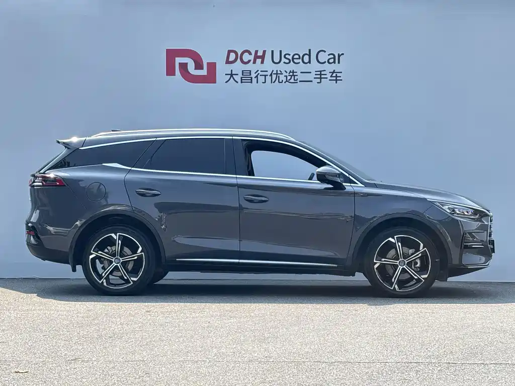 BYD Tang New Energy — фото 4
