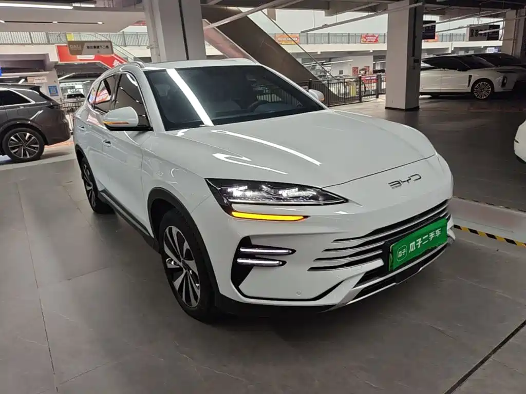 BYD PLUS New Energy — фото 3