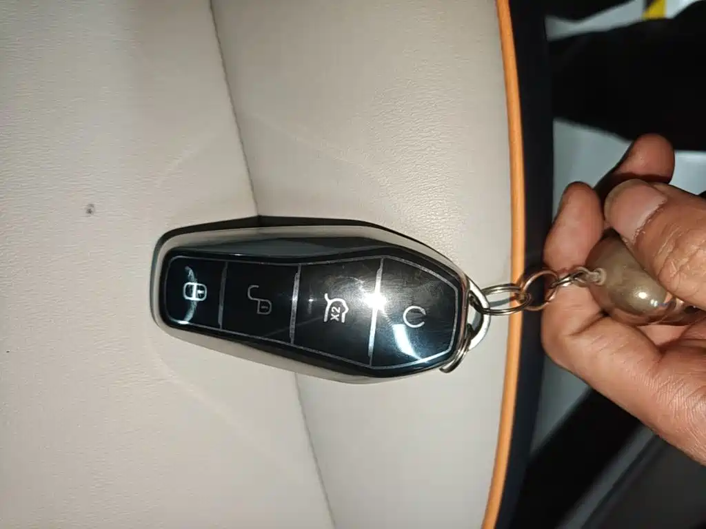 BYD PLUS New Energy — фото 8