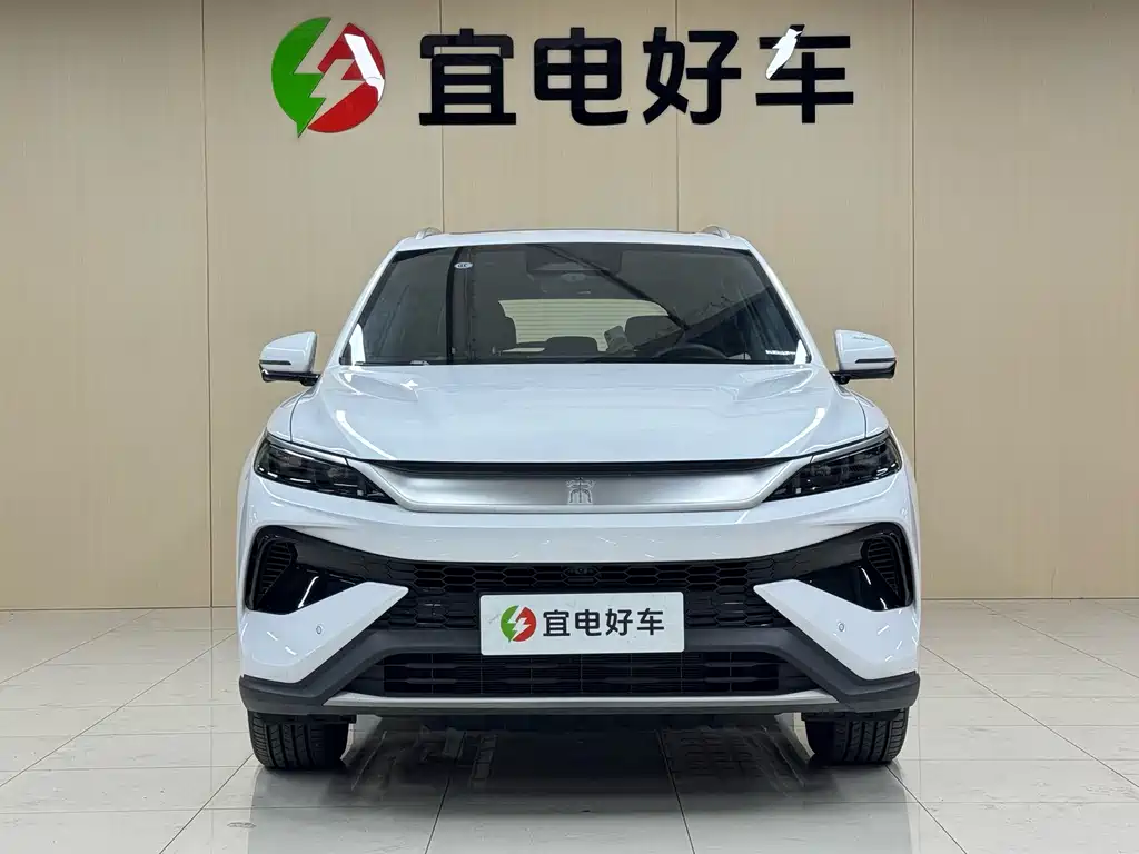 BYD Pro New Energy — фото 2