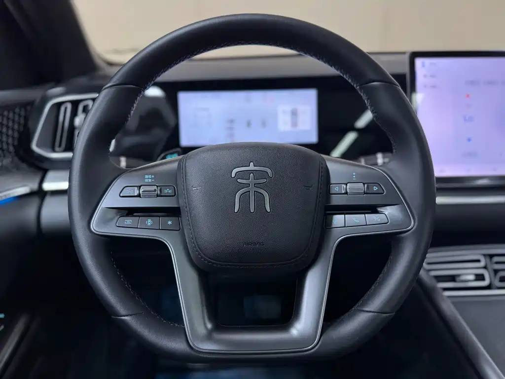 BYD Pro New Energy — фото 15