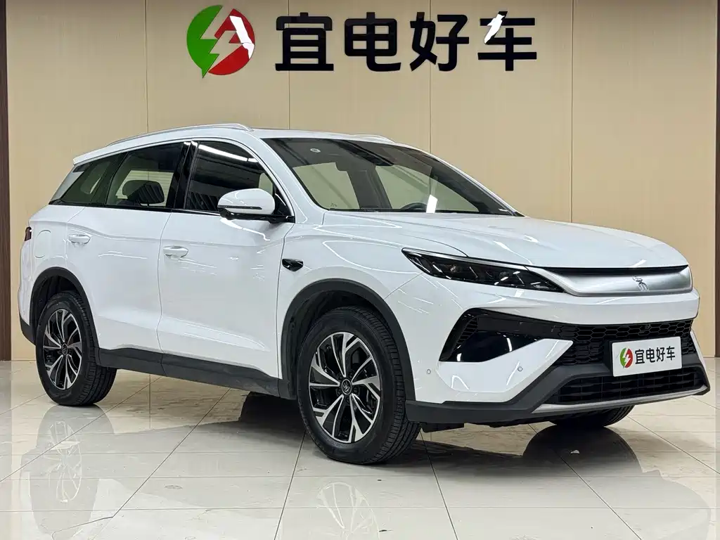 BYD Pro New Energy — фото 3