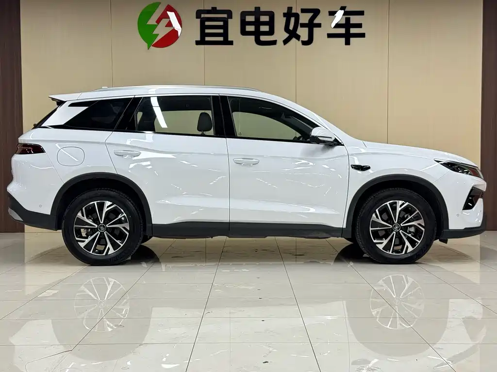 BYD Pro New Energy — фото 4