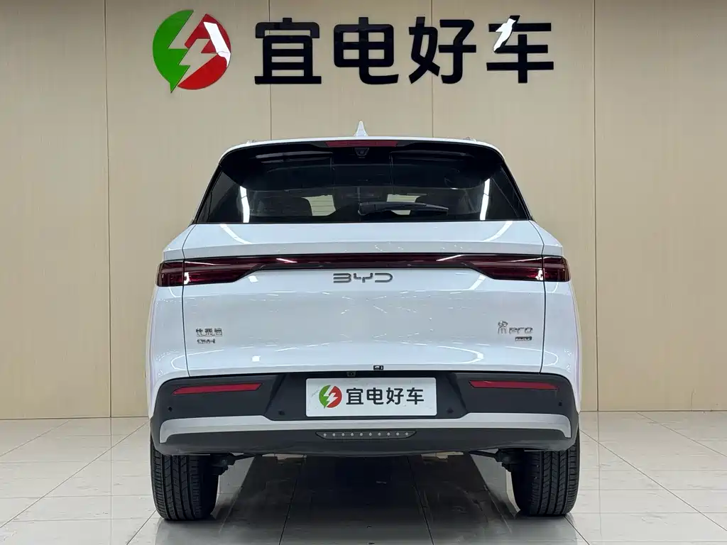 BYD Pro New Energy — фото 6