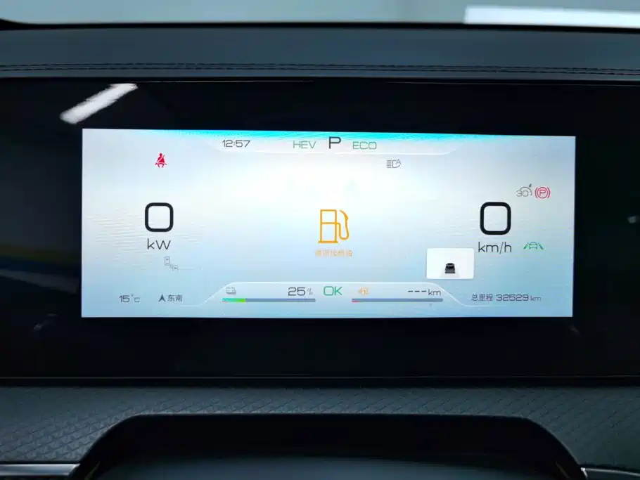 BYD Pro New Energy — фото 14