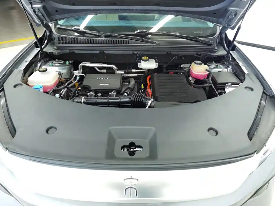 BYD Pro New Energy — фото 10