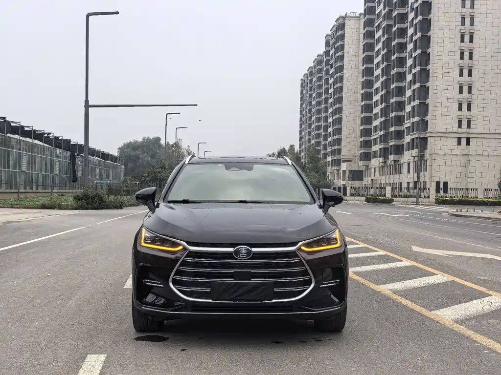 BYD Tang New Energy — фото 2