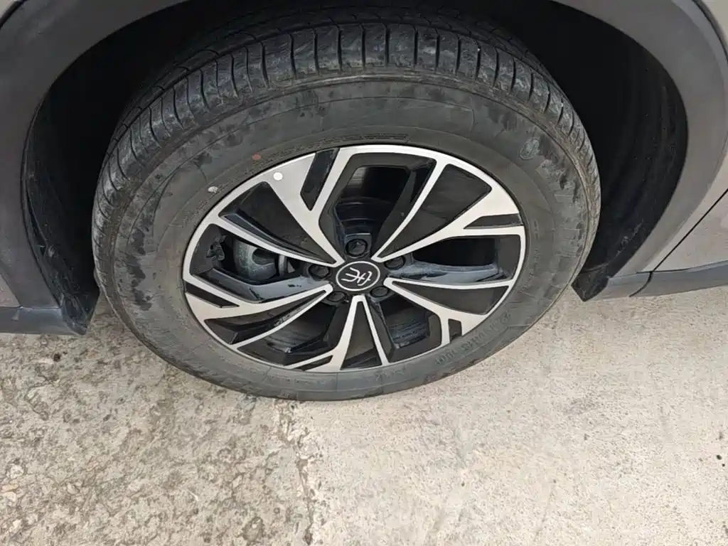 BYD Pro New Energy — фото 22