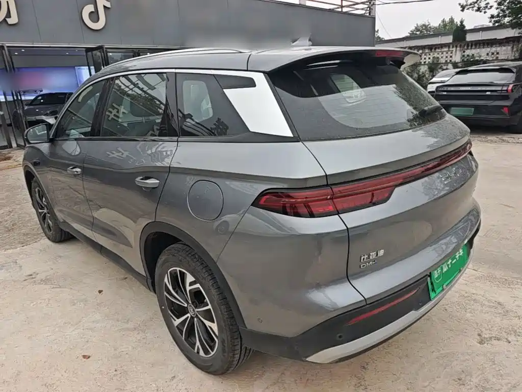 BYD Pro New Energy — фото 4