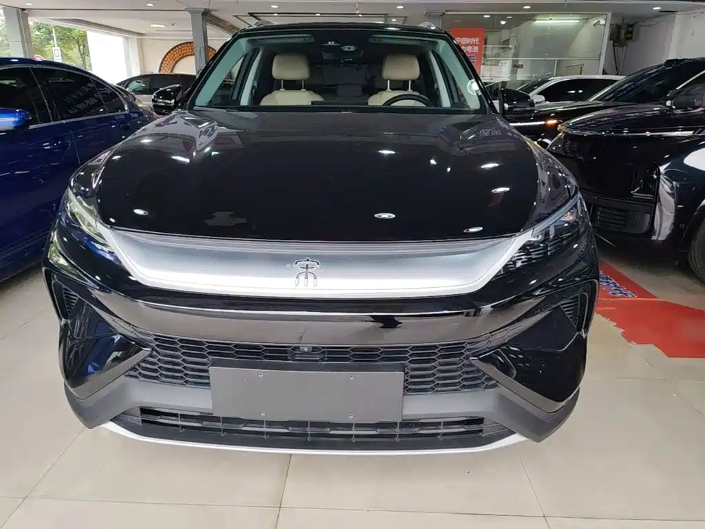 BYD Pro New Energy — фото 2