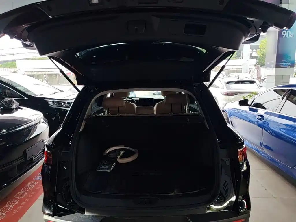 BYD Pro New Energy — фото 18