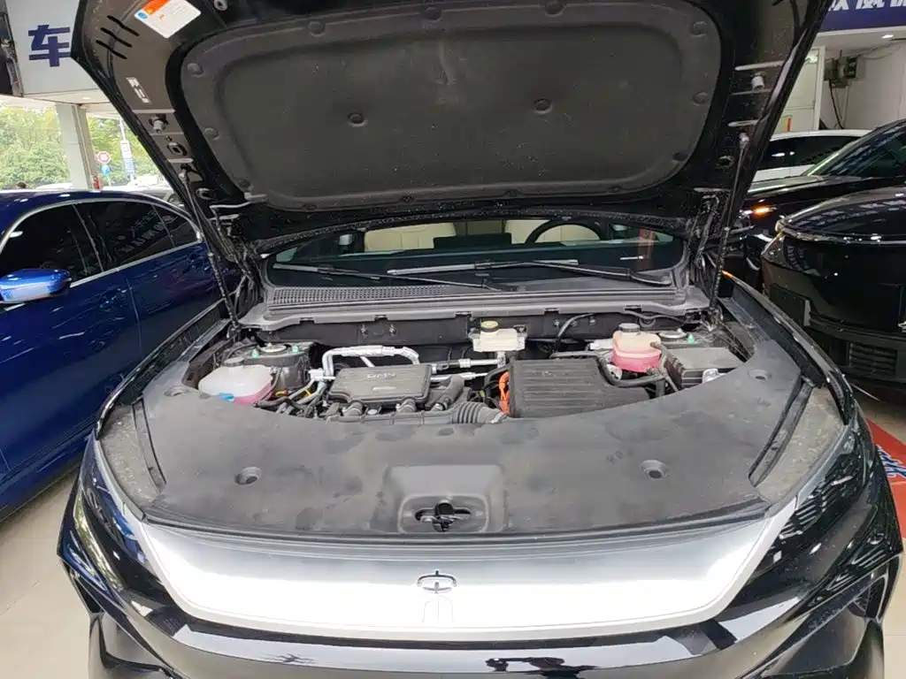 BYD Pro New Energy — фото 19