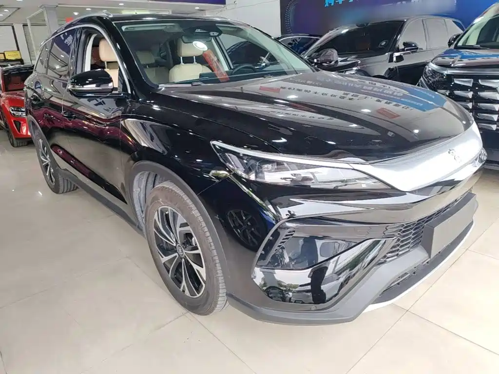 BYD Pro New Energy — фото 3