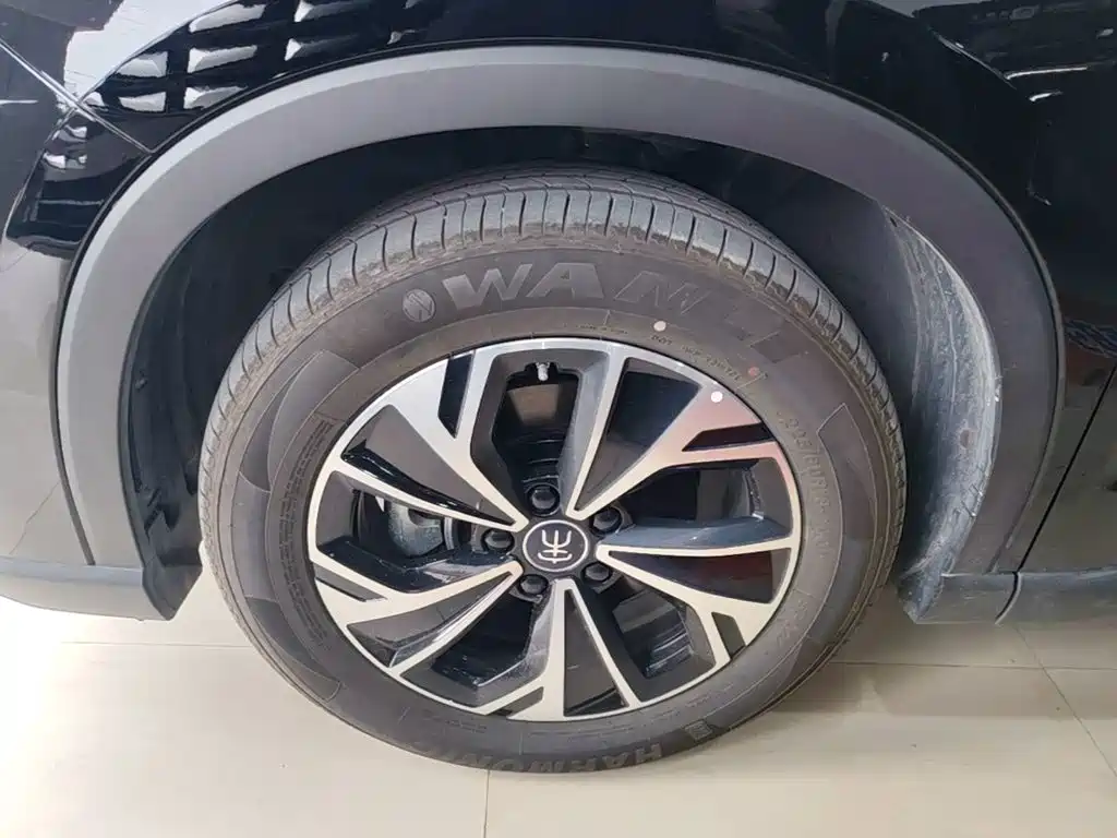 BYD Pro New Energy — фото 22
