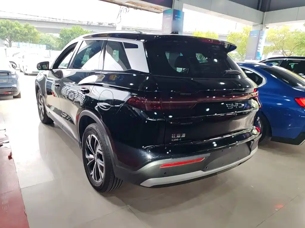 BYD Pro New Energy — фото 4