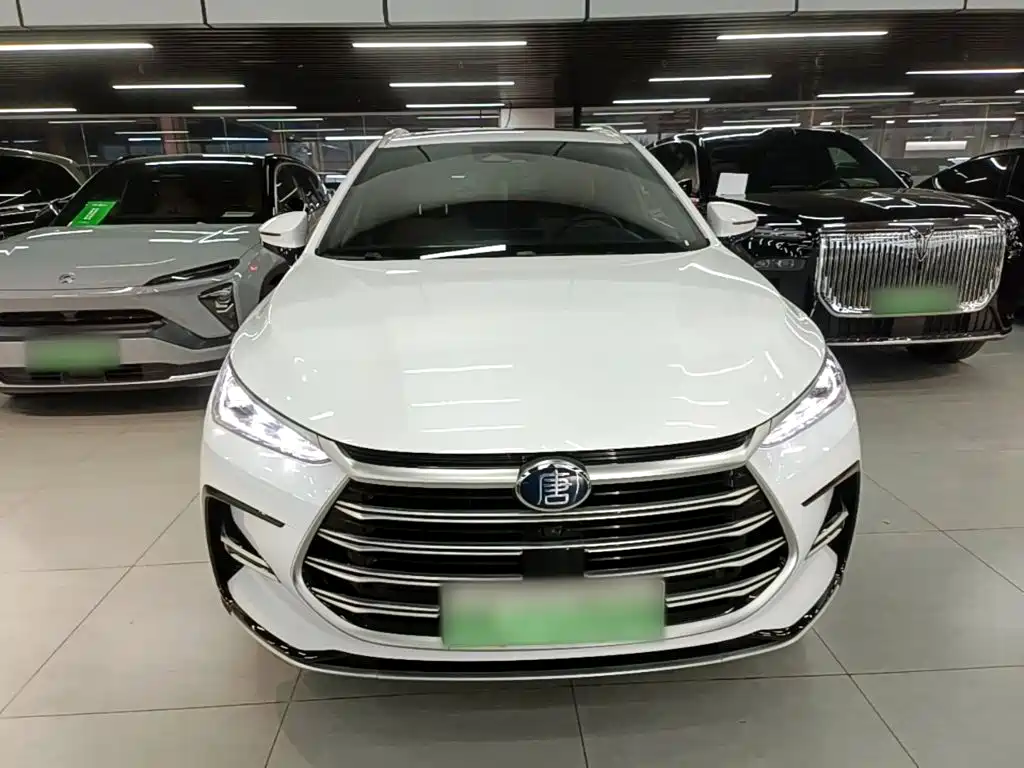 BYD Tang New Energy — фото 2