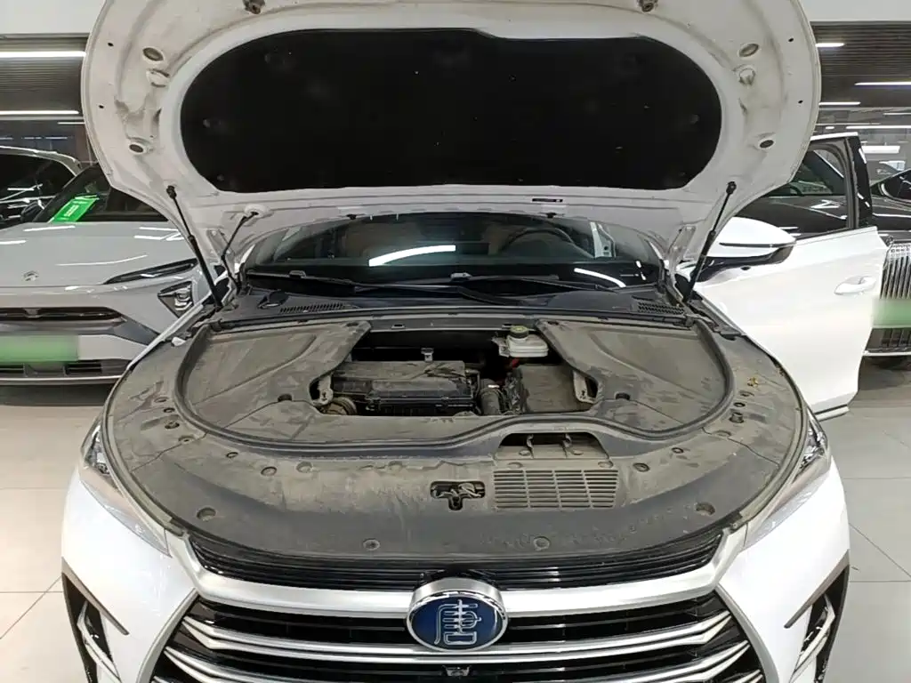 BYD Tang New Energy — фото 19
