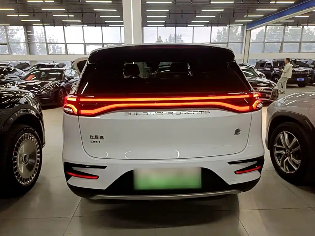BYD Tang New Energy — фото 5