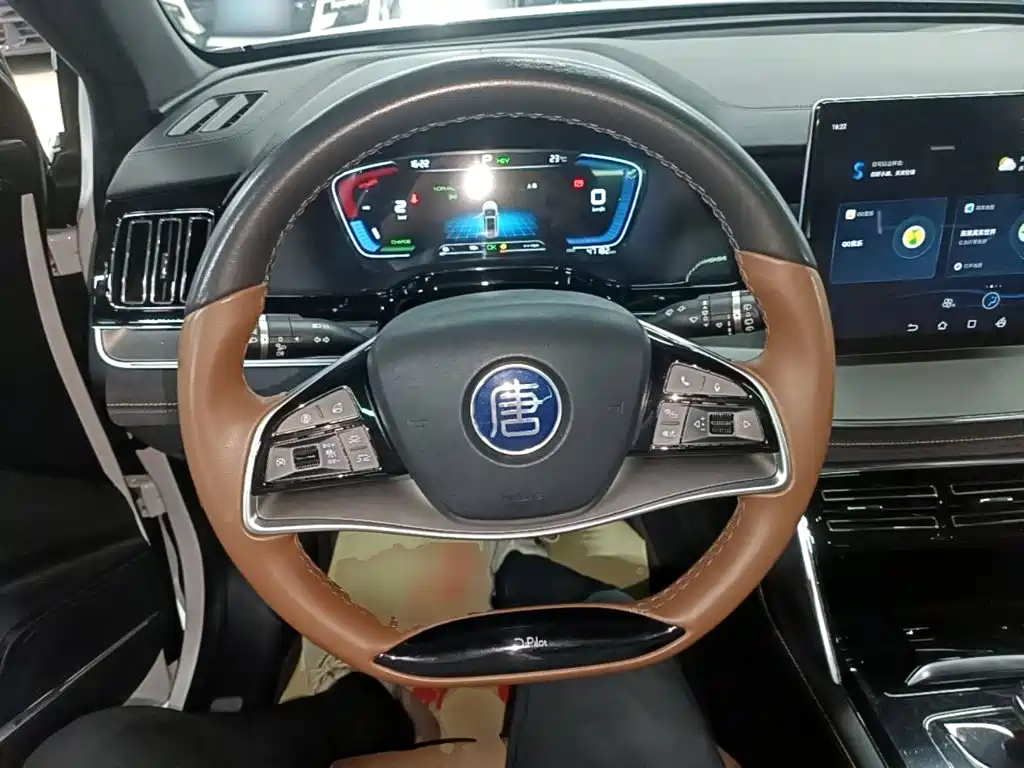 BYD Tang New Energy — фото 10