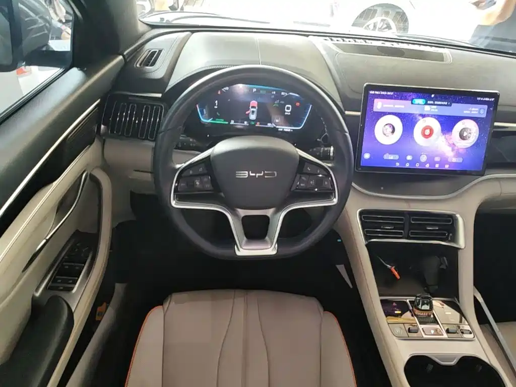 BYD PLUS New Energy — фото 10