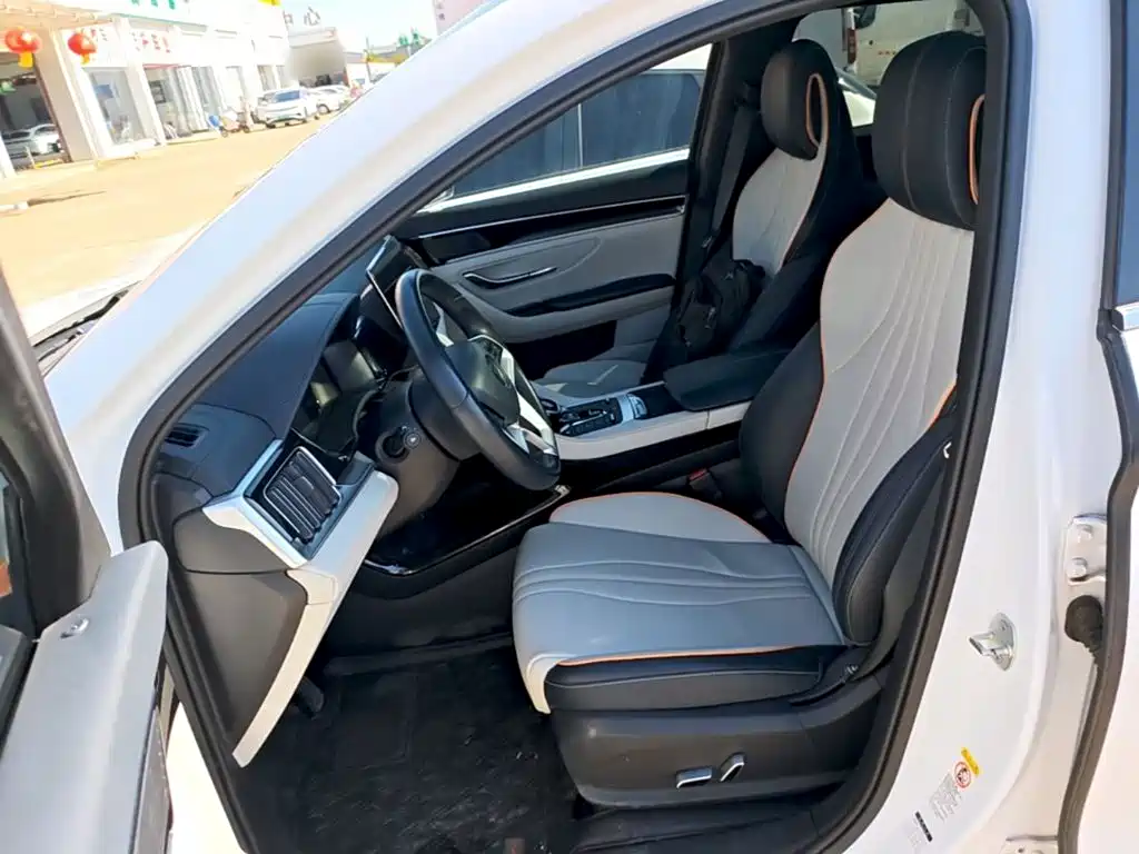 BYD PLUS New Energy — фото 14