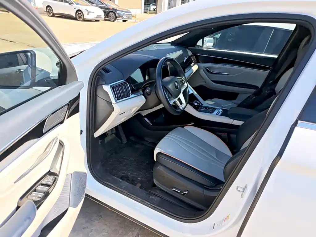 BYD PLUS New Energy — фото 15