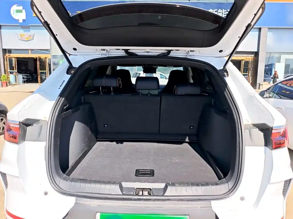BYD PLUS New Energy — фото 18