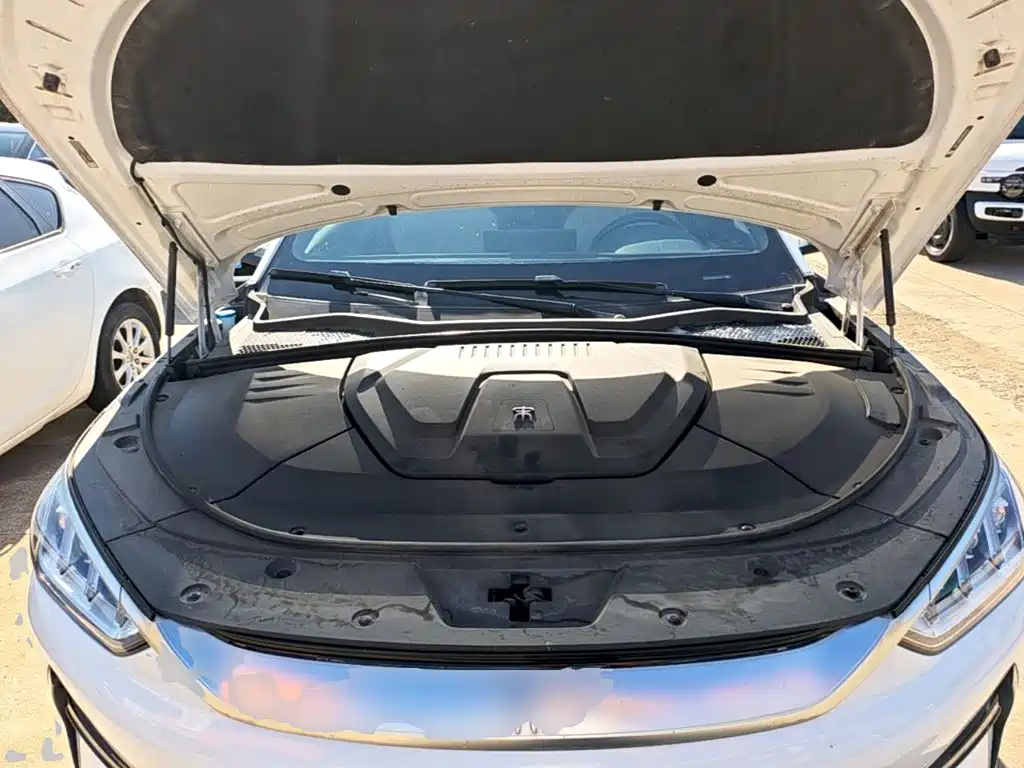 BYD PLUS New Energy — фото 19