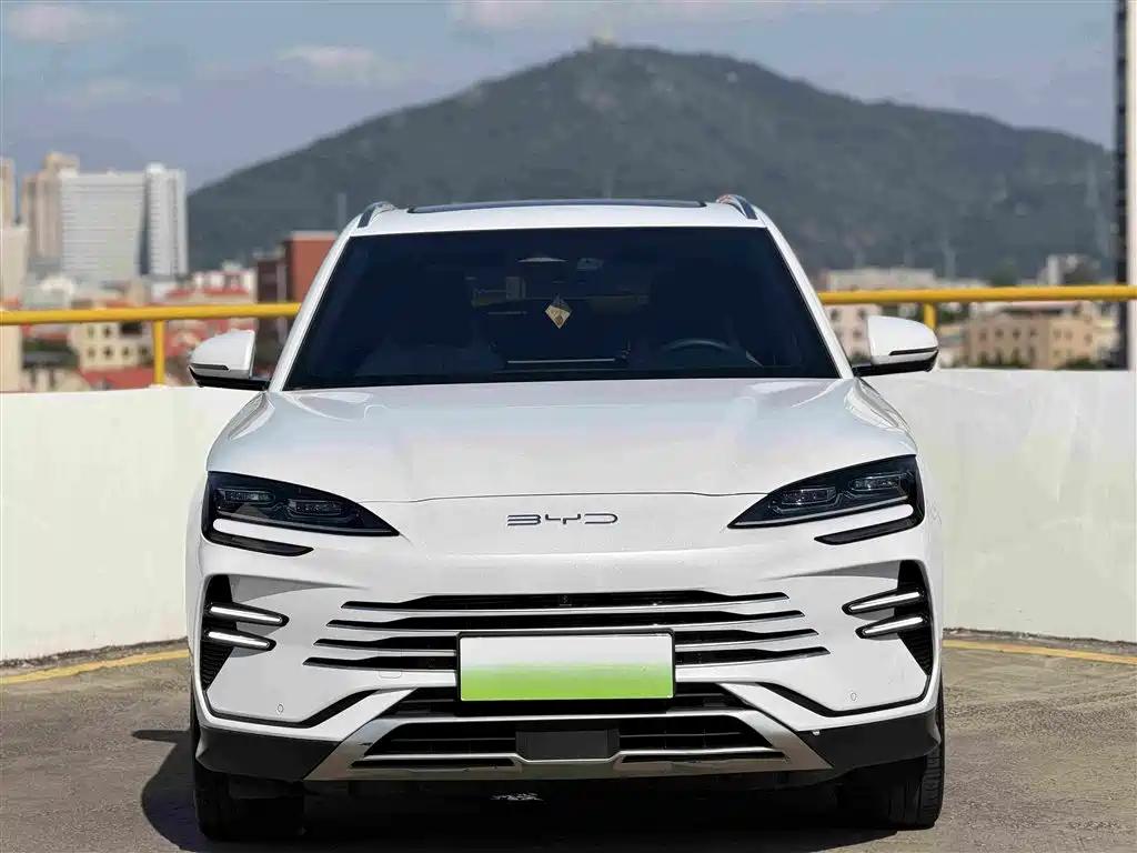 BYD PLUS New Energy — фото 2