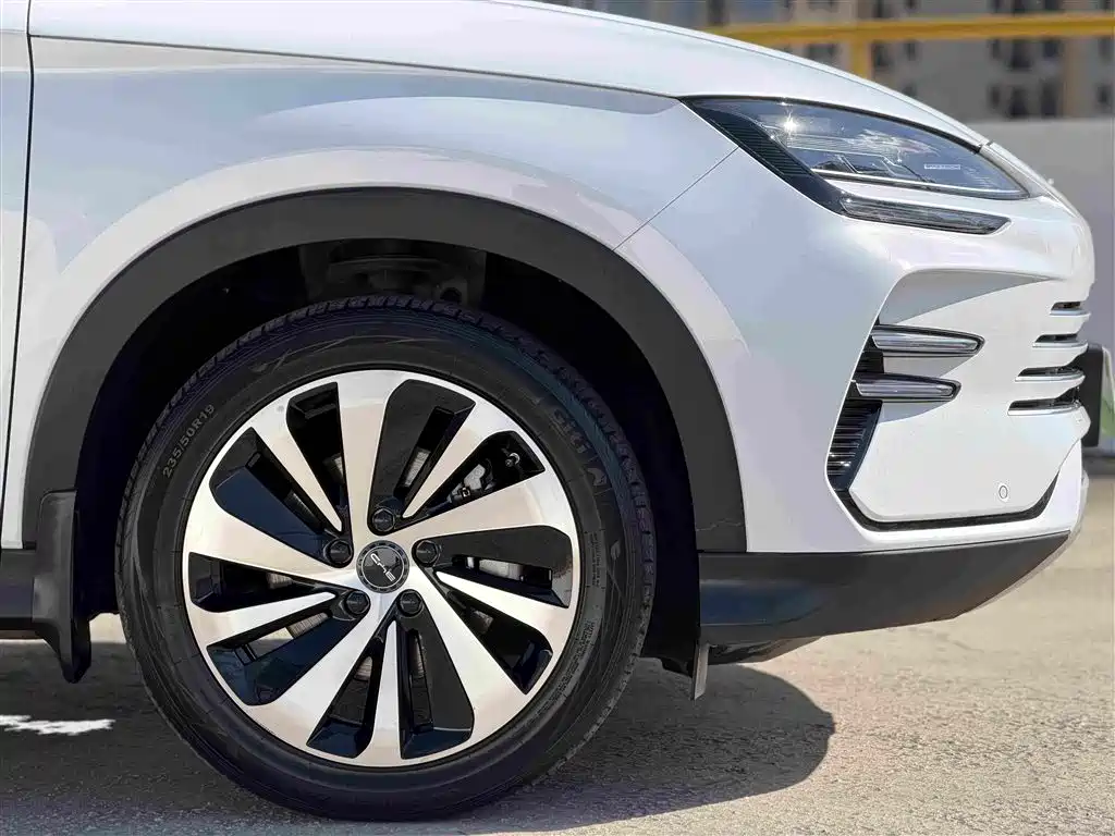 BYD PLUS New Energy — фото 11