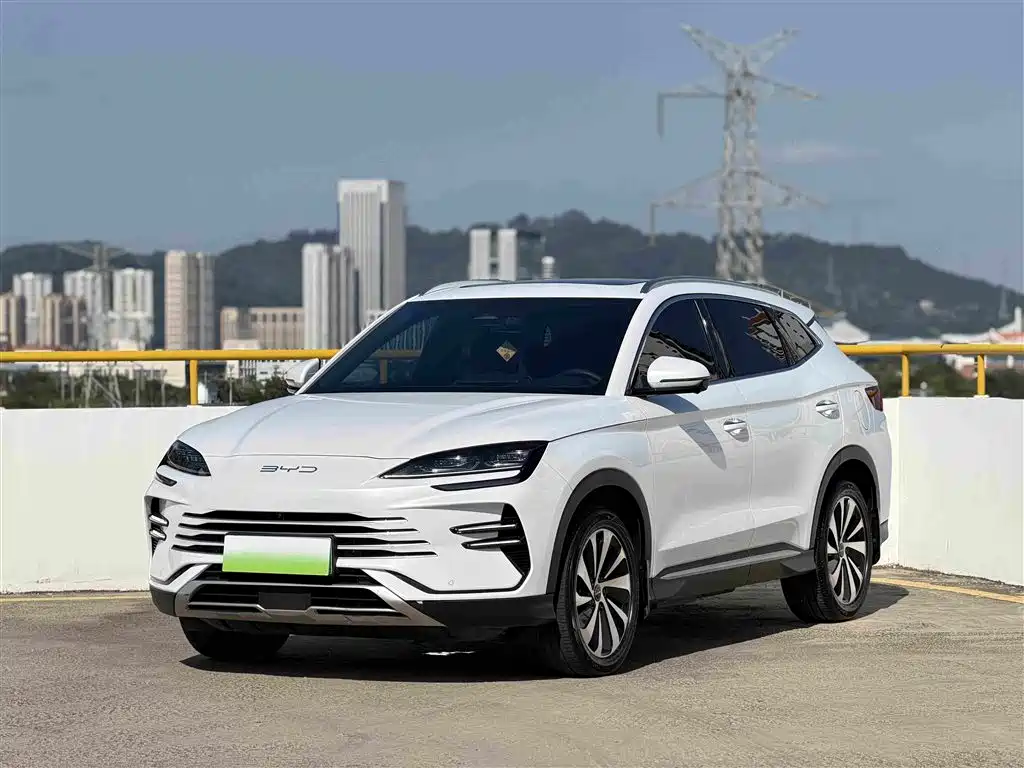 BYD PLUS New Energy — фото 19