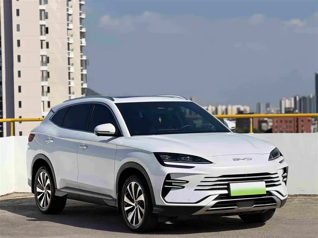 BYD PLUS New Energy — фото 3