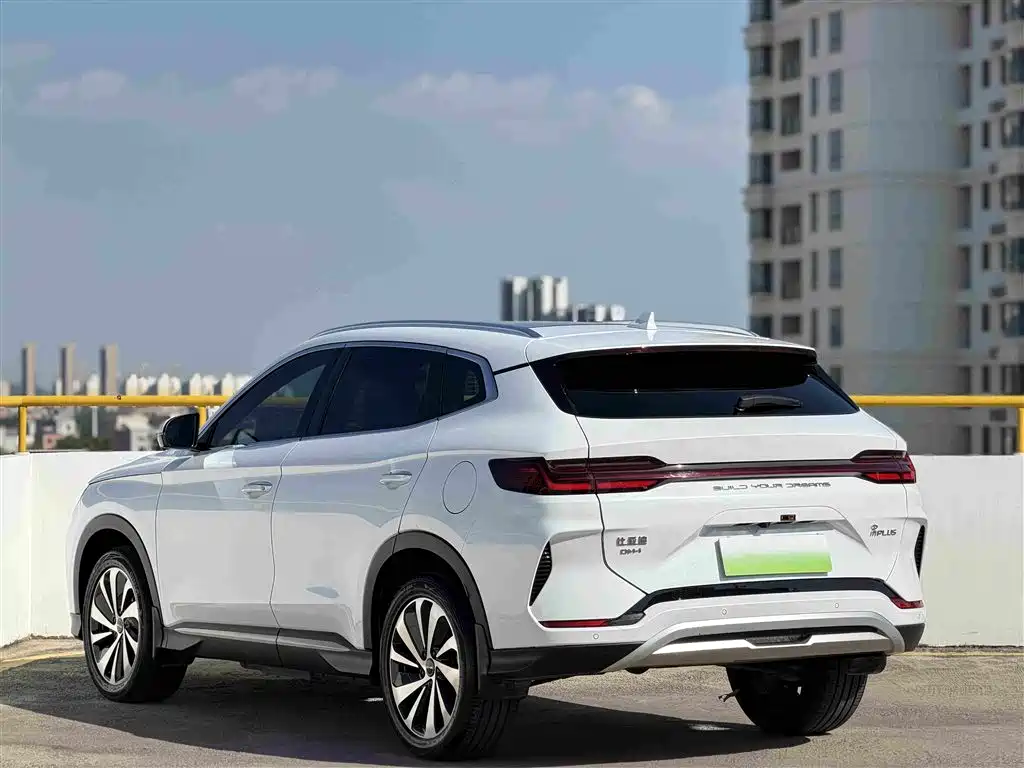 BYD PLUS New Energy — фото 6