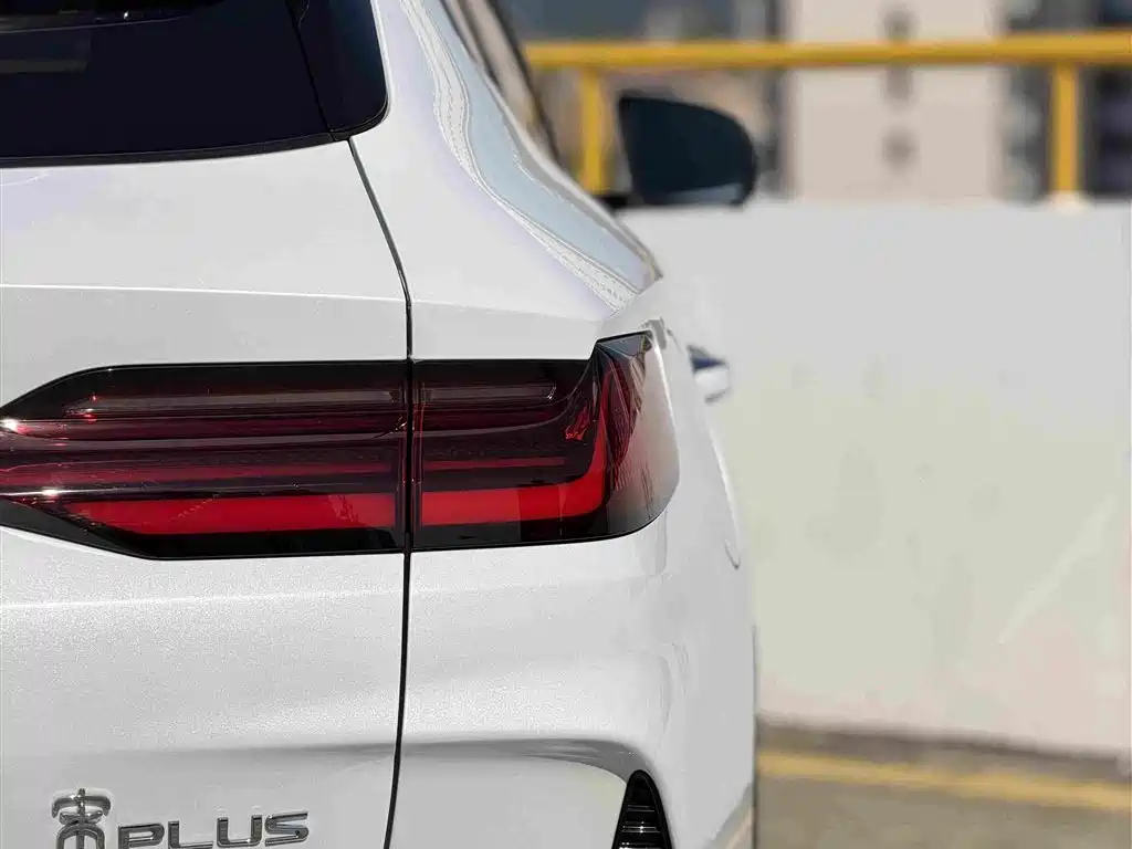 BYD PLUS New Energy — фото 10