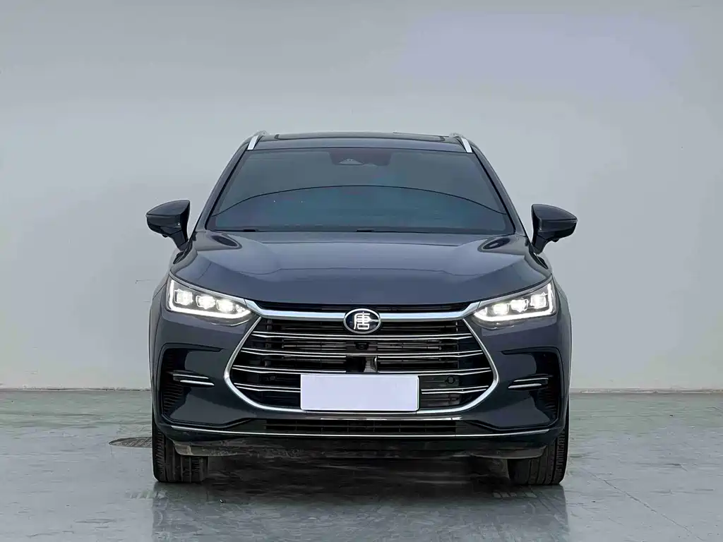 BYD Tang New Energy — фото 2