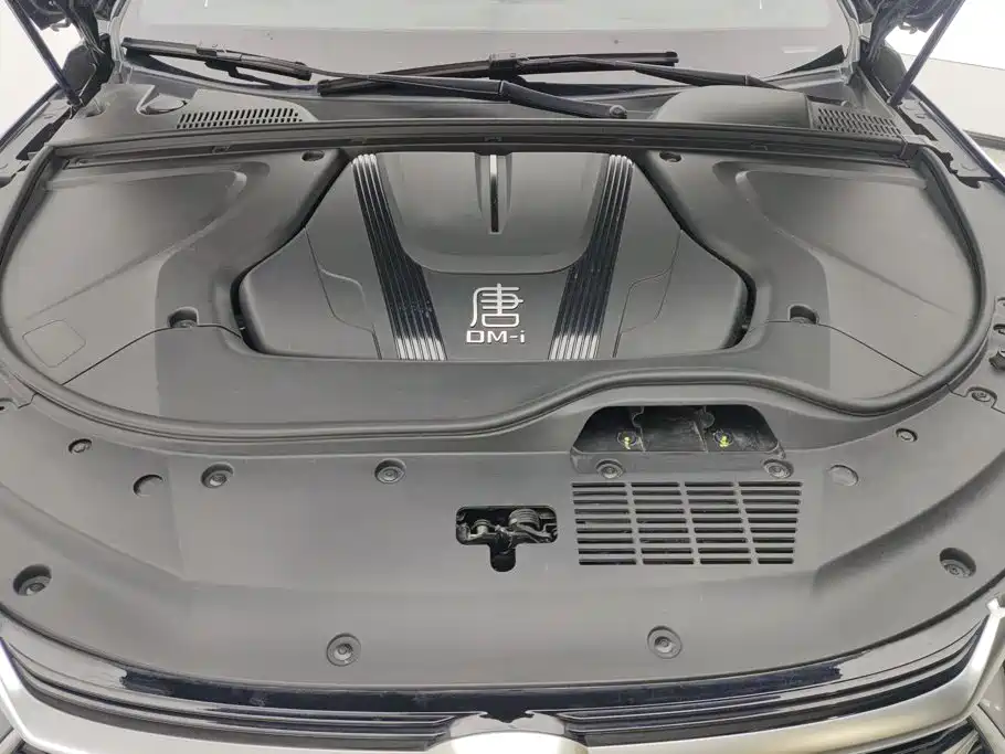 BYD Tang New Energy — фото 10