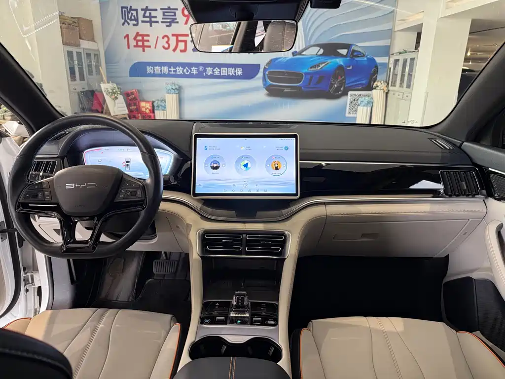 BYD PLUS New Energy — фото 6