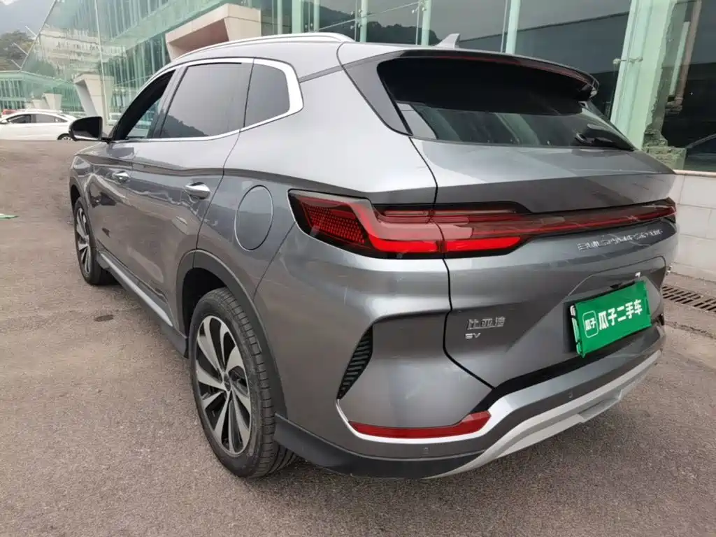 BYD PLUS New Energy — фото 4