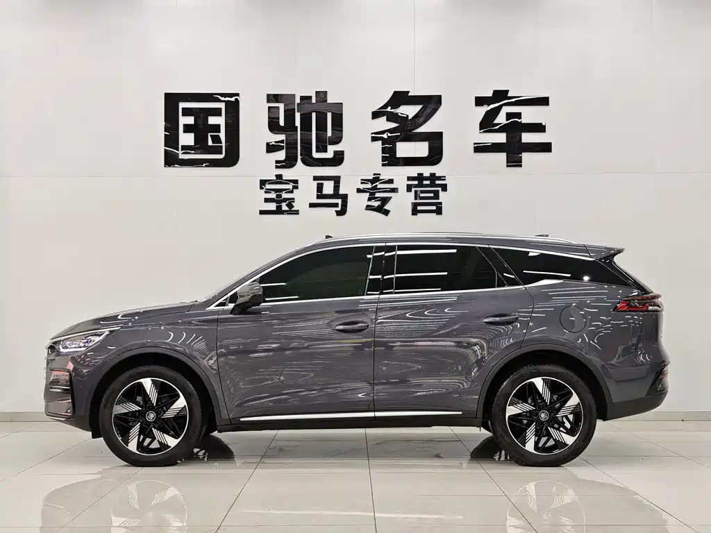 BYD Tang New Energy — фото 3