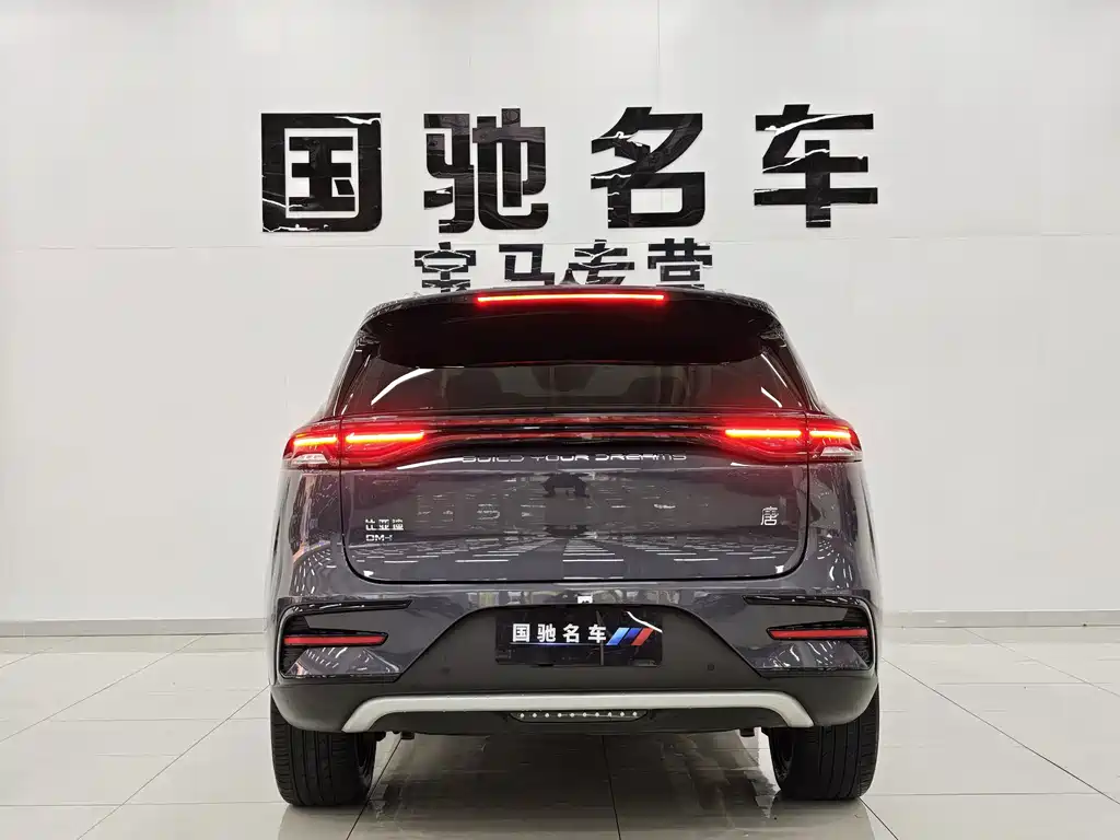 BYD Tang New Energy — фото 4