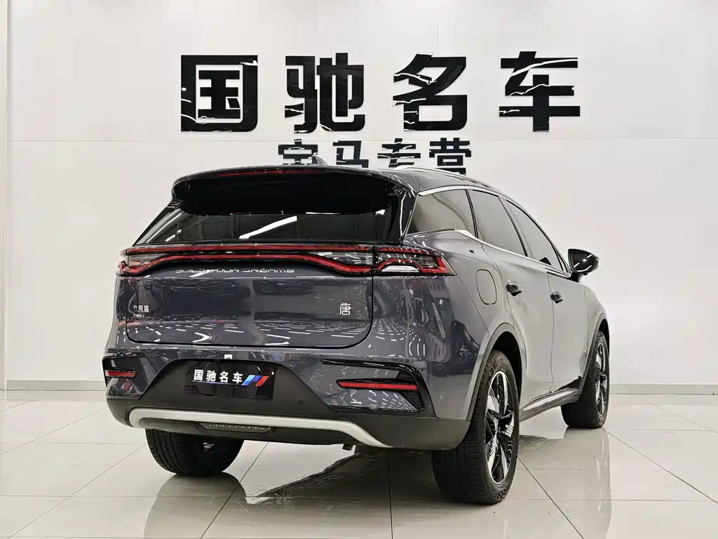 BYD Tang New Energy — фото 5