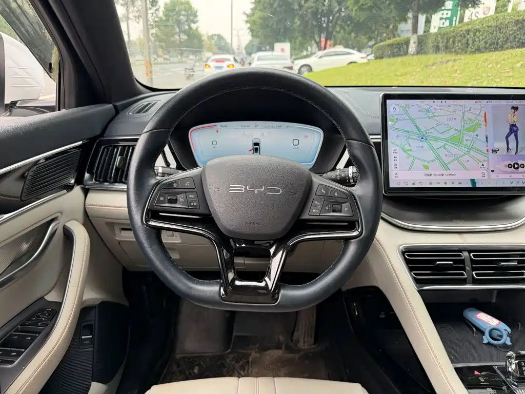 BYD PLUS New Energy — фото 14