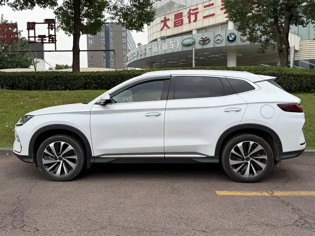 BYD PLUS New Energy — фото 3