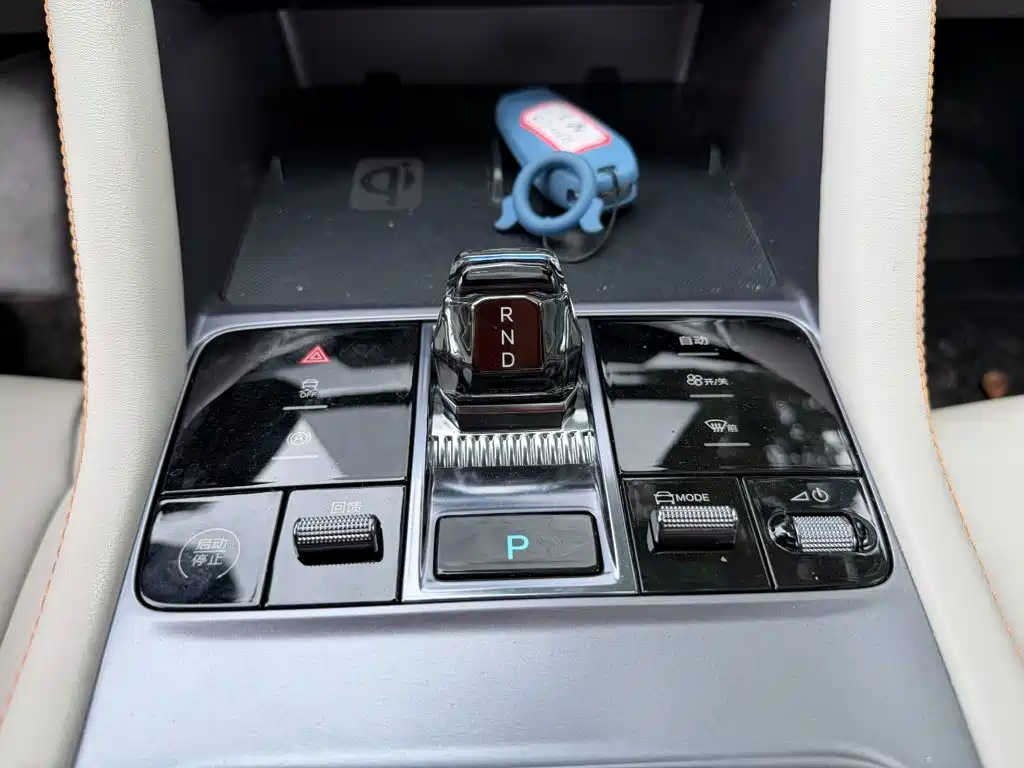 BYD PLUS New Energy — фото 9