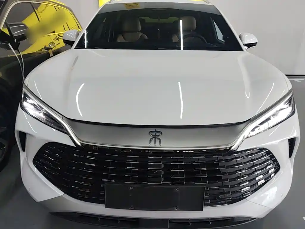 BYD L DM-i — фото 2