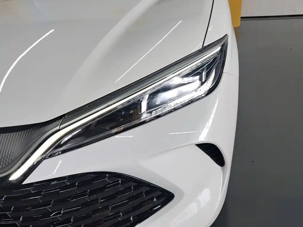 BYD L DM-i — фото 23